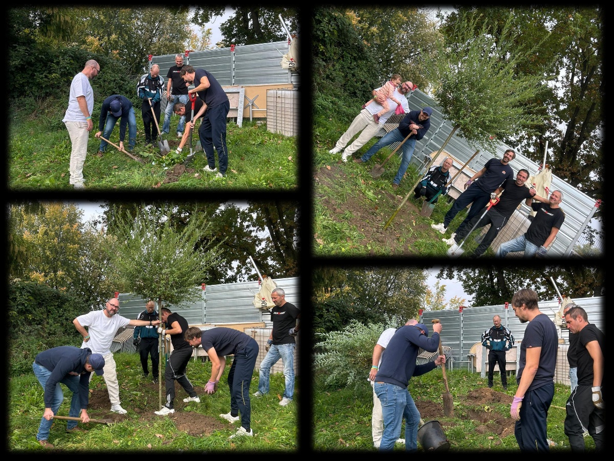 Baumpflanzchallenge